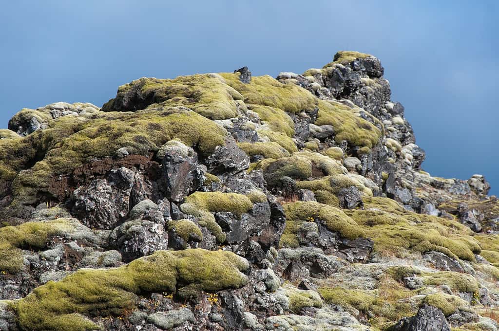 Coulée d'obsidienne de Landmannalaugar Islande. © Hansueli Krapf, <em>Wikimedia commons,</em> CC 3.0