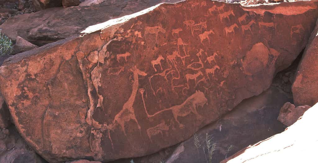 Twyfelfontein possède une concentration de gravures sur grès rose parmi les plus riche d’Afrique, datée de la fin de l’âge de pierre. Ces représentations témoignent des pratiques de ces peuples de chasseur-cueilleurs. © Lidine Mia, <em>wikimedia commons</em>, CC 4.0