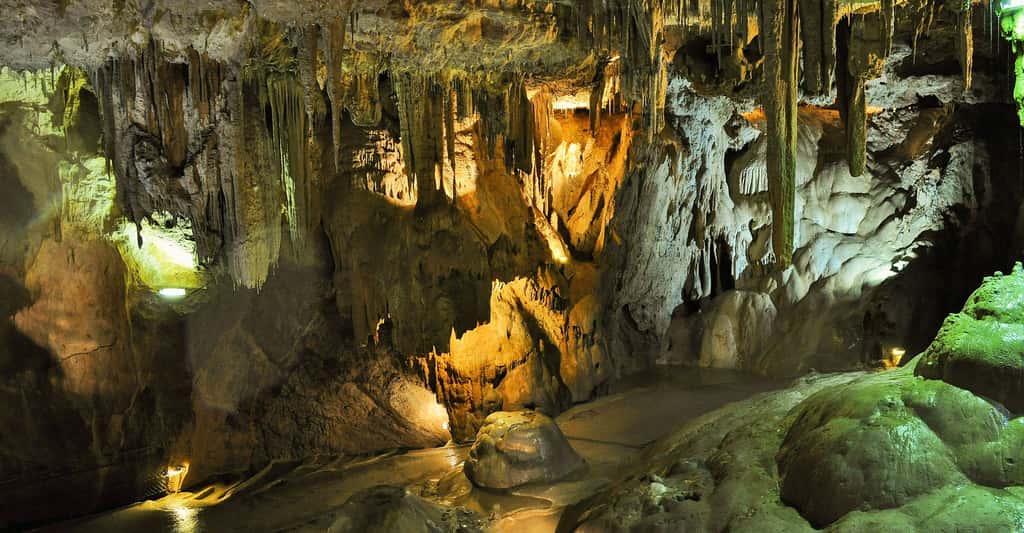 Grottes et cavernes : livres et sites Internet
