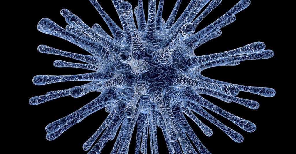Cellules microgliales. ©PublicDomainPictures CCO, Domaine public