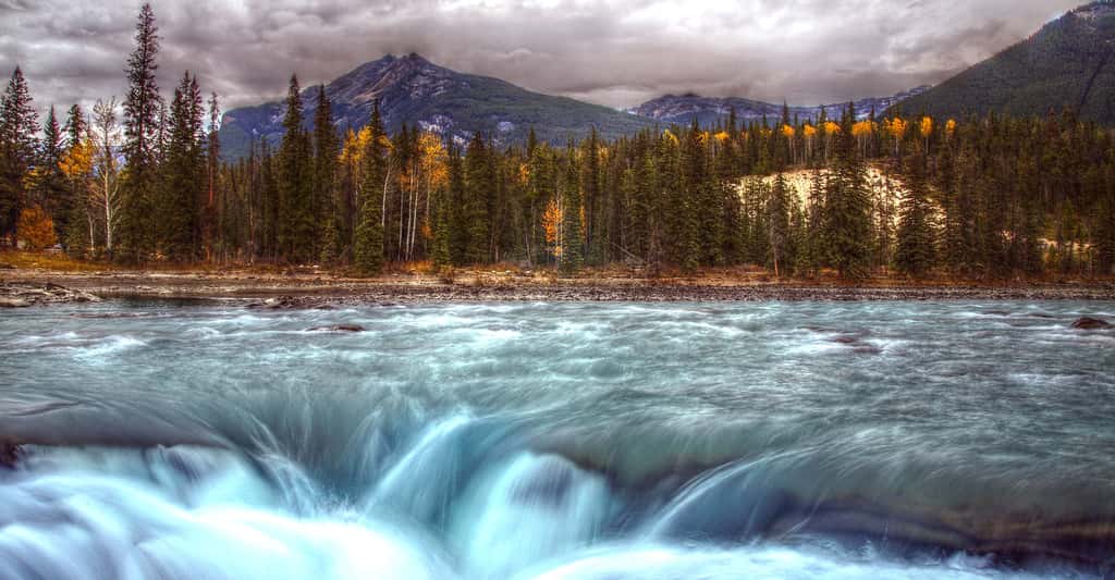 Les chutes Athabasca sont des chutes d'eau situées dans le parc national de Jasper, au Canada. © PiConsti, CC by-sa 2.0