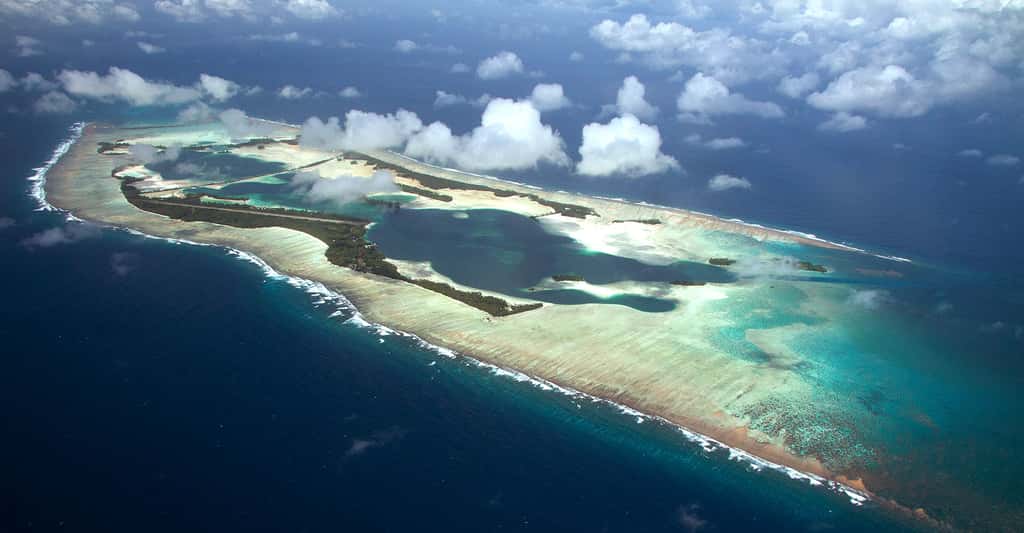 Quelle référence utiliser pour connaître le niveau de la mer ? Ici, l'atoll Palmyra, dans l'océan Pacifique Nord. © USFWS, <em>Pacific Region</em>, CC by 2.0