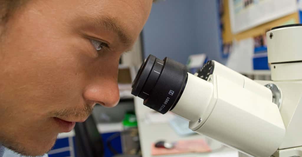 Microscope et télescope : des instruments pour voir plus gros et plus loin