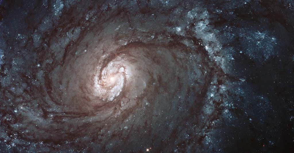 Messier 100. © Hubble Legacy Archive, Nasa, ESA, Judy Schmidt, <em>Wikimedia commons</em>, DP