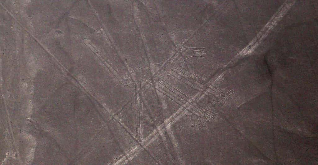 En savoir plus sur l'art rupestre de l'ancien Pérou