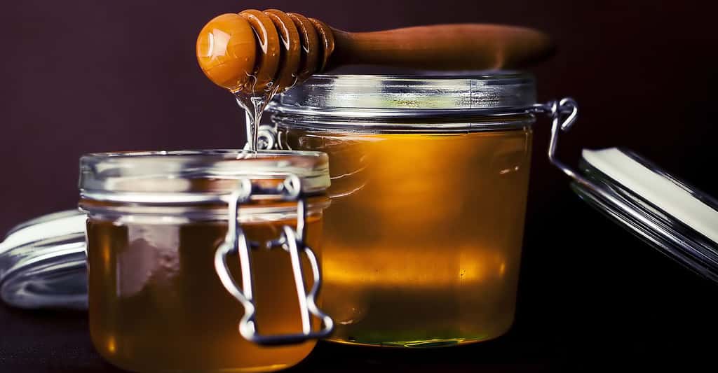 Le miel, un des fabuleux produits de la ruche. © Fancycrave1, CCO