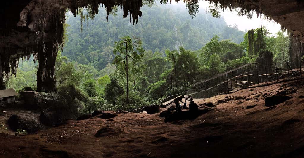 Archéologie : Bornéo, l'île des découvertes