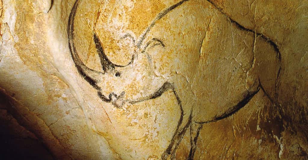 Rhinocéros à grande corne, Grotte Chauvet. © Inocybe, <em>Wikimedia commons</em>, DP