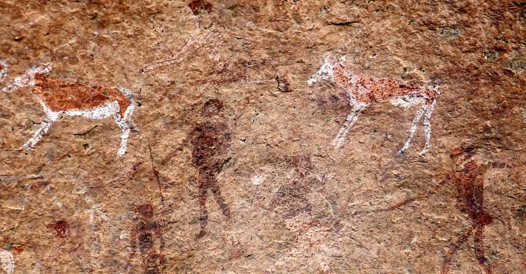 Peintures rupestres San dans le massif du Brandberg en Namibie. © Ji-Elle, <em>Wikimedia commons</em>, CC by-sa 4.0