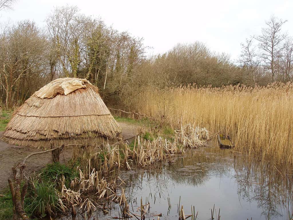 Reconstitution d'une hutte de chasseurs-cueilleurs mésolithiques. © David Hawgood,<em> Wikimedia commons,</em> CC 2.0