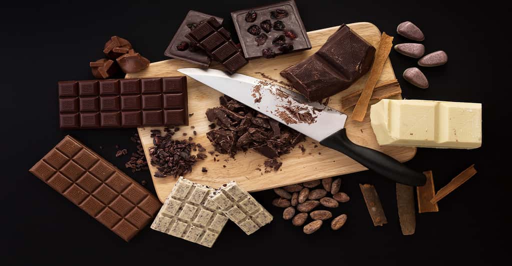 Tablettes de chocolat, blanc, noir, au lait. ©Valentin Valkov, Shutterstock