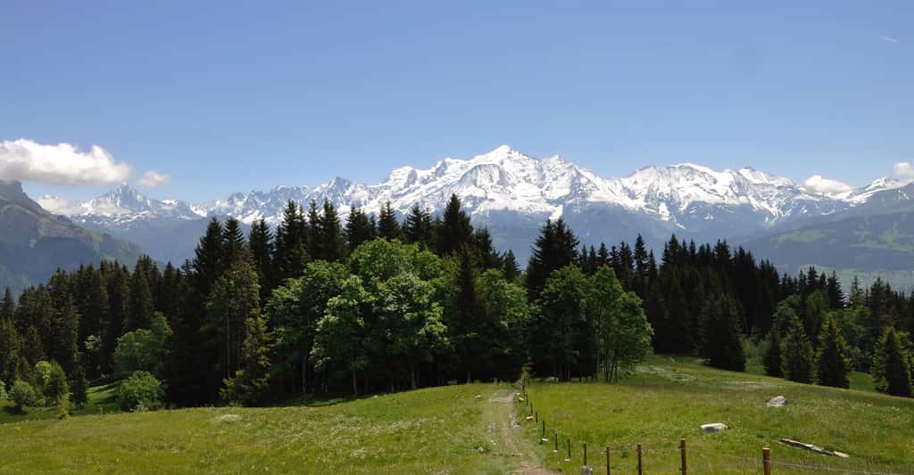 Vue sur le Mont-Blanc. © JudRob, Pixabay, DP