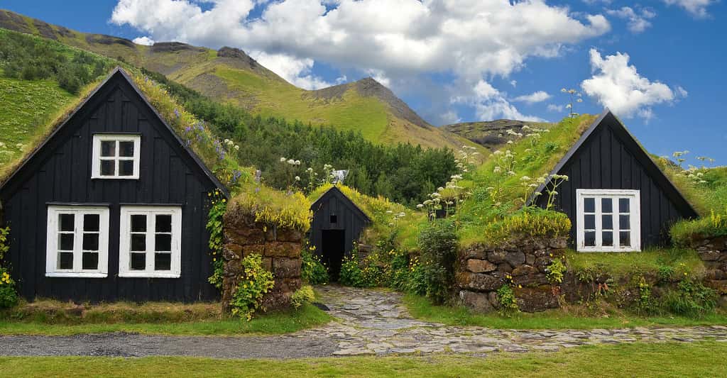 Les très jolies maisons aux toits végétalisés d'Islande. © ReneBoinski/abogawat, Pixabay, DP
