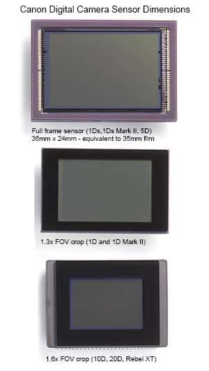 Divers formats de capteurs de reflex (en bas, format APS-C). © Canon