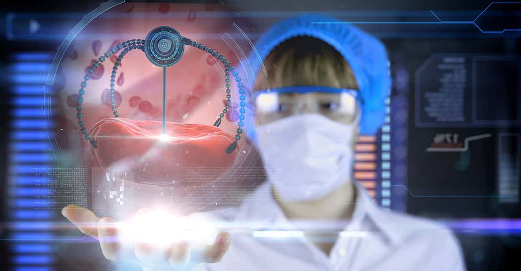 Quelles sont les perspectives des nanosciences ? Quelle sera la médecine du futur ? © Pavel Chagochkin, Shutterstock