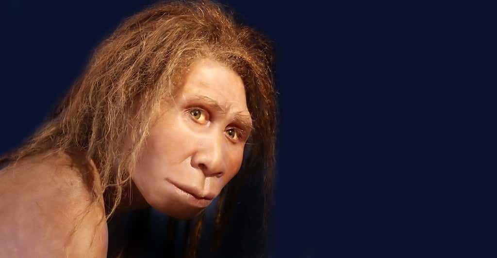 Reconstitution de<em> Homo georgicus</em> présentée au musée de Préhistoire de Quinson, Alpes-de-Haute-Provence, France. © 120, CC by-sa 3.0