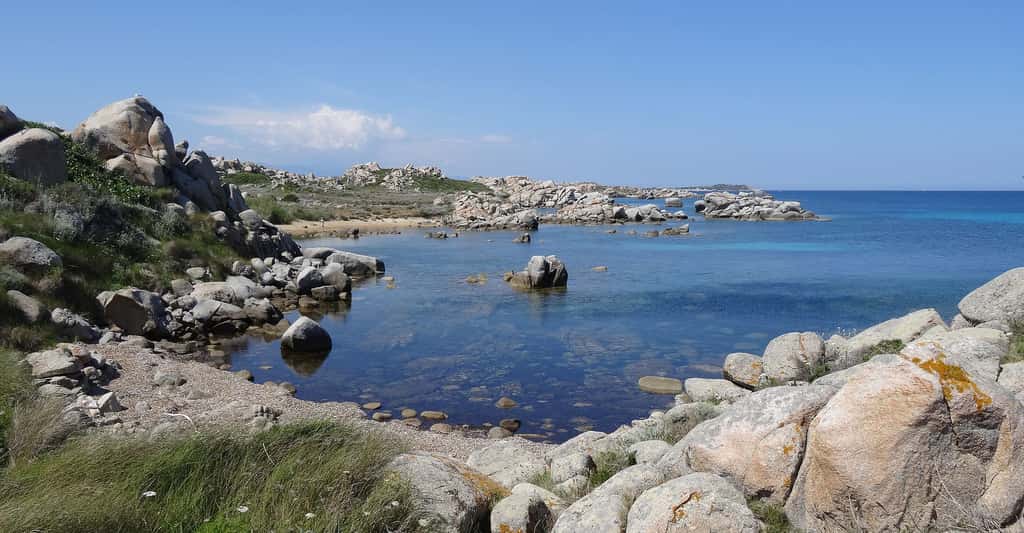 Corse du Sud, entre terre et mer