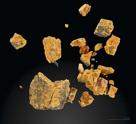 Fragments d'ambre découverts dans un site préhistorique en Espagne, grotte d'Altamira (Solutréen), Muséum de Toulouse. © Didier Descouens, <em>Wikimedia commons</em>, CC by-sa 4.0