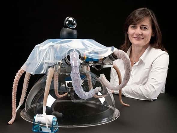 Jennie Hill, professeur au <em>BioRobotics Institute</em> Italie, montrant l'Octo-bot. © <a target="_blank" href="https://cacm.acm.org/news/206051-robot-octopus-points-the-way-to-soft-robotics-with-eight-wiggly-arms/fulltext">Jennie Hill</a>, <em>London Science Museum</em>