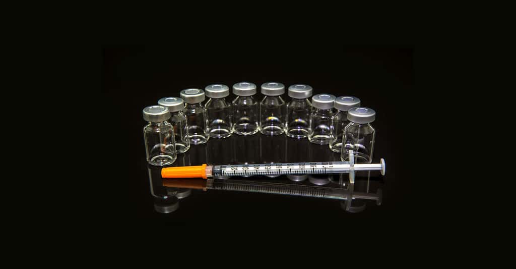 Ici, des flacons d'insuline. © Ittipon, Shutterstock