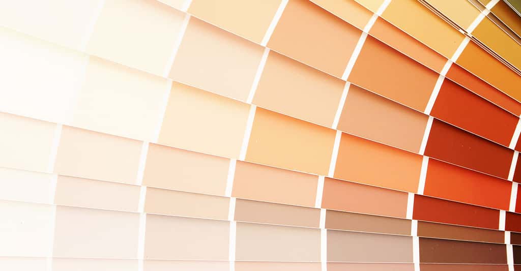 Différents tons de couleurs à choisir. Avant de peindre, mieux vaut bien préparer son mur. © Pare Mahakanok, Shutterstock