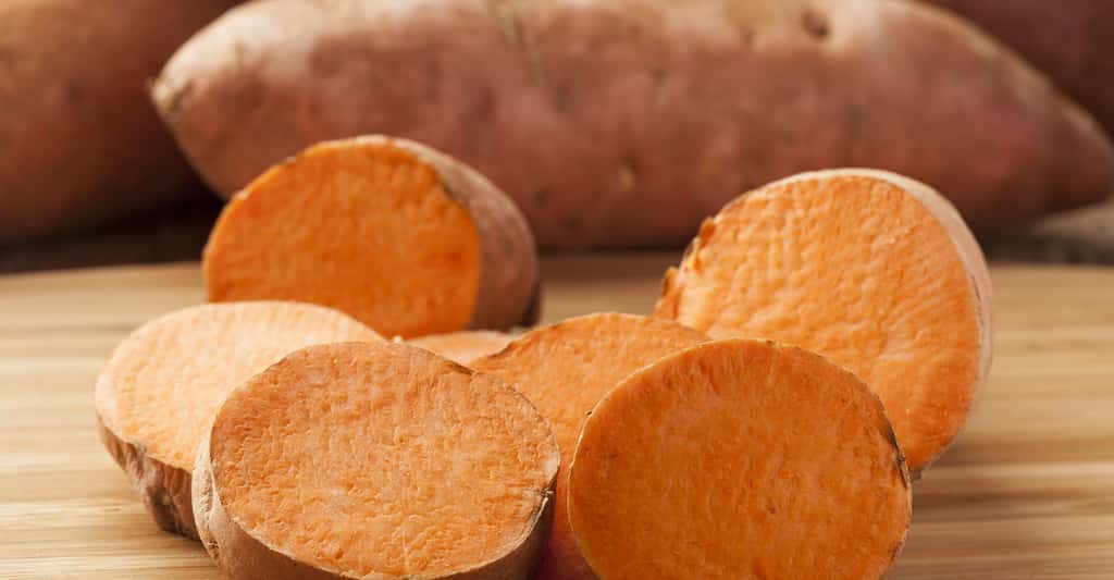 La patate douce est très présente dans les régions tropicales. © Brent Hofacker, Shutterstock