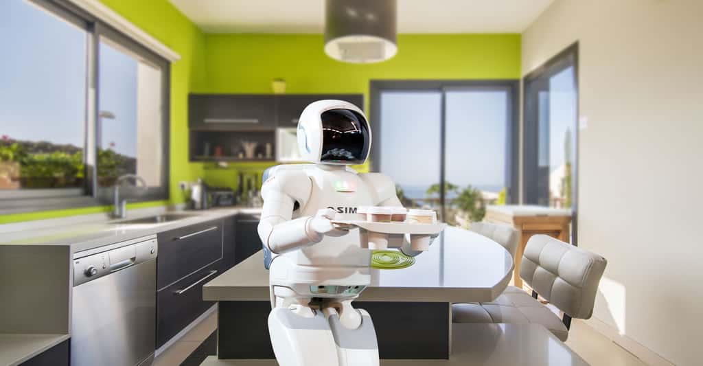 Le robot domestique, du rêve à la réalité