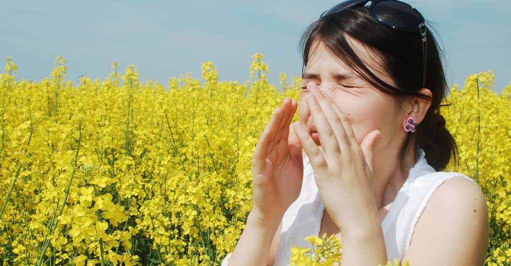 La rhinite allergique toucherait 20 à 30 % de la population. © Alex Cofaru, Shutterstock