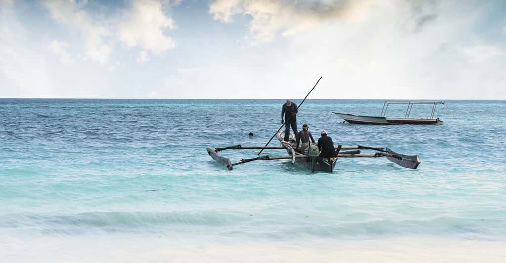 Pêcheurs au large de l'île de Zanzibar. © In Green  -  Shutterstock