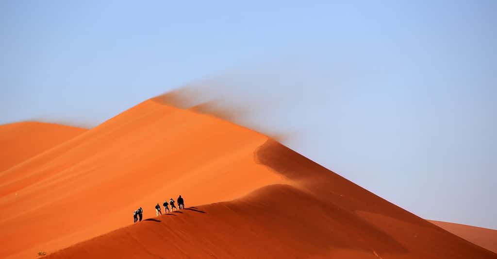 La dune : formation et mouvements