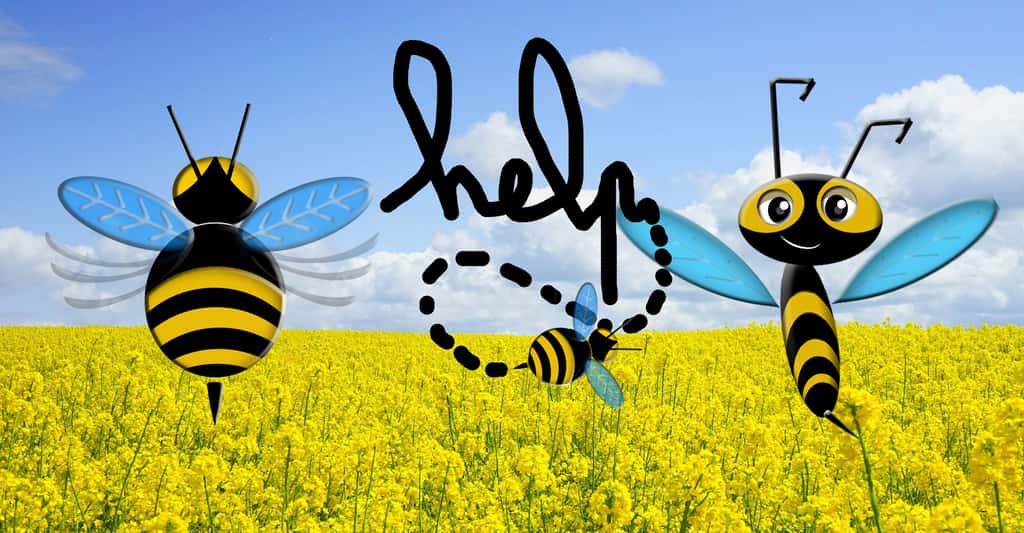 Découvrez nos tee-shirts pour la protection des abeilles. © DR