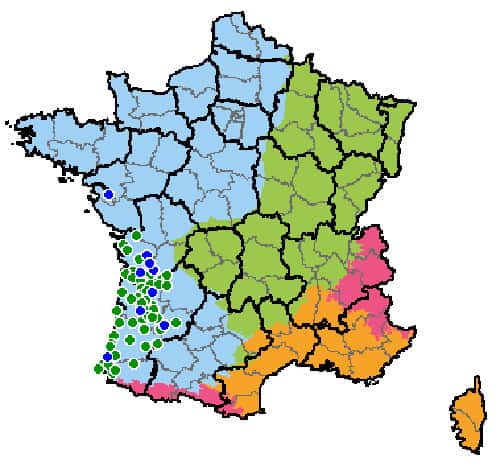 Carte de localisation du vison d'Europe. En vert, rose, jaune et bleu : les domaines biogéographiques. Les points bleus représentent les sites très importants pour l'espèce, les points verts indiquent les sites importants. © Natura 2000
