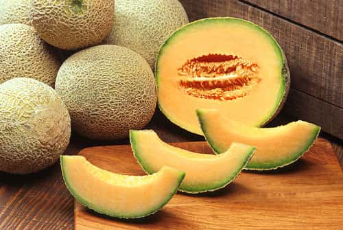 Le melon Cantaloup, le plus connu des melons de Cavaillon. © Domaine public