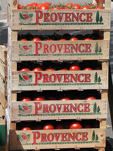 Pour leur transport, les tomates doivent être fermes. © Jipol, Flikr, CC by-nc-nd 2.0