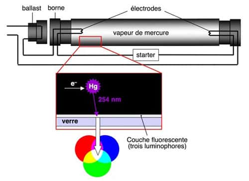 Principe de fonctionnement d’un tube fluorescent. © B. Valeur
