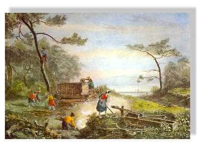 Les résiniers au 18ème siècle - Vieille gravure du 18ème siècle illustrant le travail des résiniers en forêt de Gascogne. (on peut remarquer sur la gauche un résinier perché sur un &quot;pitey&quot;) <br />© Claude Courau - Collection privée - Tous droits réservés