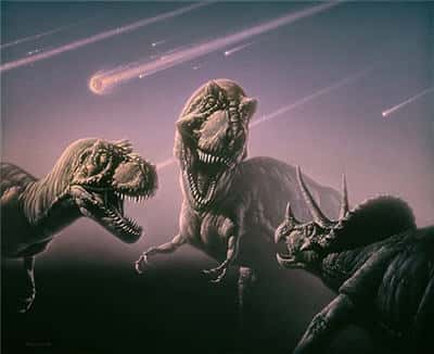 Un combat de dinosaures juste avant la chute de l'astéroïde qui va provoquer l'extinction de leur espèce. © DR