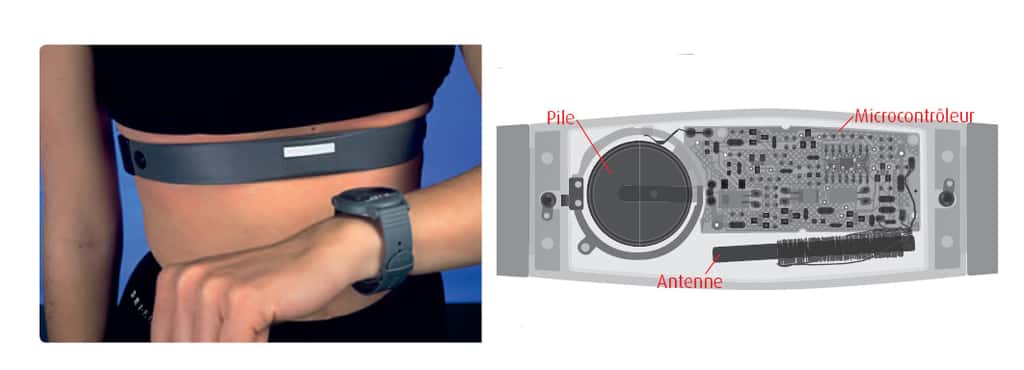 Cardiofréquencemètre sans fil (à gauche) et schéma de la ceinture d’un cardiofréquencemètre (à droite). On distingue le microcontrôleur, la pile et l’antenne pour la transmission du signal (la bobine en bas à droite). © Belin