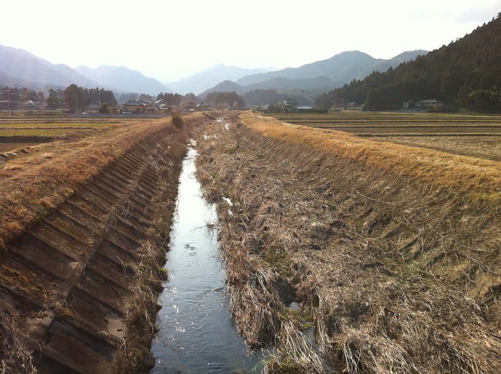 Les rivières de la région de Fukushima drainent à la fois des montagnes boisées et des plaines cultivées. © O. Evrard