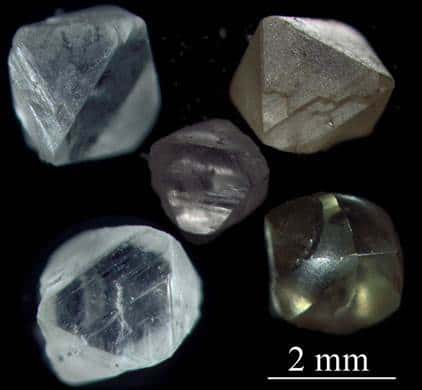 Ci-dessus, quelques diamants récoltés sur un prospect au Cameroun. © Gilles Chazot et Jacques Kornprobst