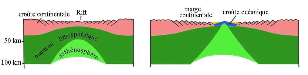 Ce schéma représente le processus de formation d’un rift, à l’origine de l’océanisation. L’extension progressive de la lithosphère conduit à la rupture continentale. © D’après Gilbert Boillot, 2003