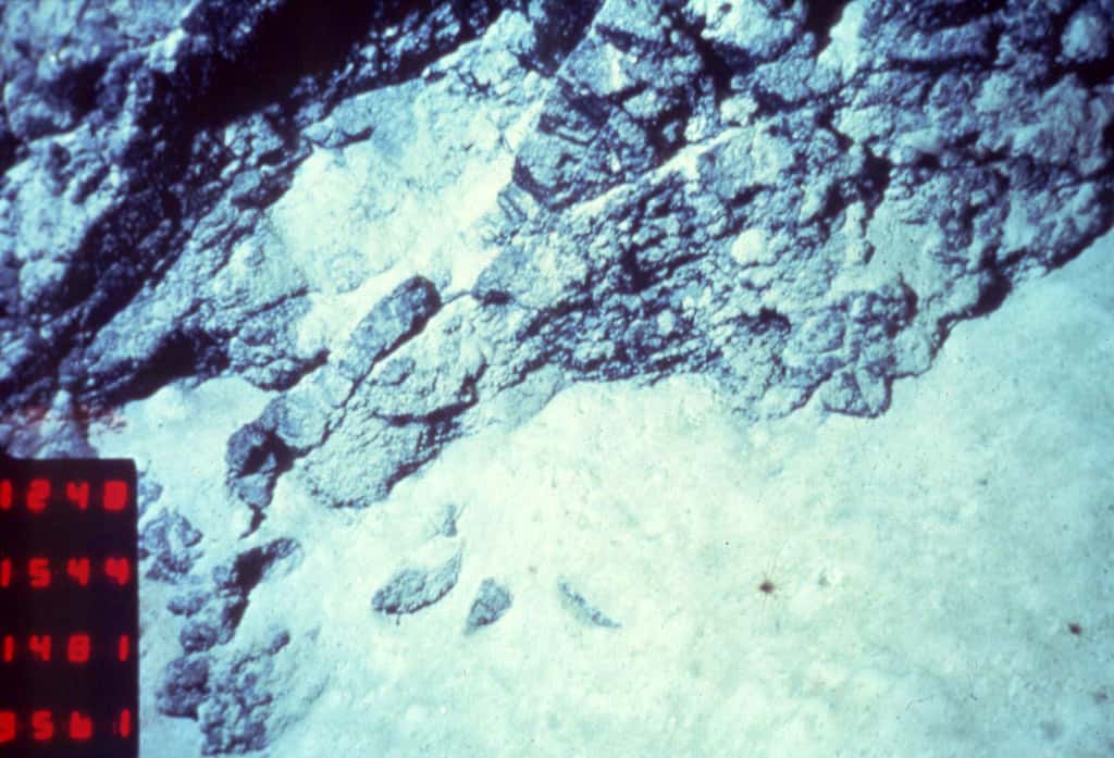   Ci-dessus, les images de la plongée 14 de la campagne Galinaute, effectuées par le <em>Nautile</em>  en 1986. On remarque des péridotites schisteuses recoupées par un filon de dolérite, dont la bordure (à droite) est prismée par refroidissement brutal. © Jacques Kornprobst, Ifremer