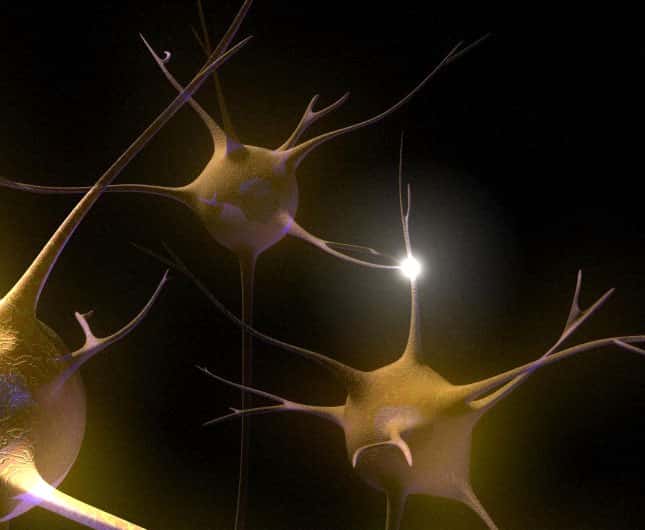 Vue d’artiste de la connexion entre un neurone et une synapse. Les réseaux neuronaux sont le socle de la mémoire cérébrale. © Emily Evans, Wellcome Images, Flickr, cc by-nc-nd 2.0