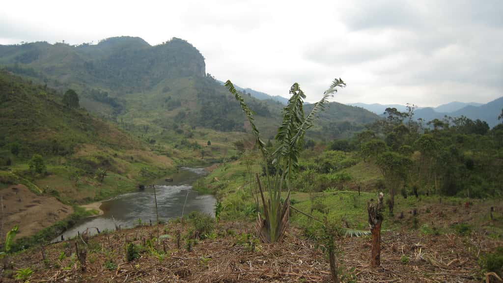 Vue sur la forêt malgache. © ecololo, Flickr, CC by-sa 2.0