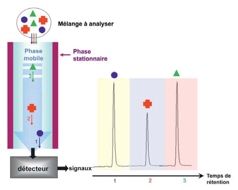 Entraînées par la phase mobile, les molécules migrent le long de la colonne de phase stationnaire et en sortent à une vitesse différente selon leurs propriétés : plus une molécule s’« accroche » à la colonne ou a peu d’affinité pour la phase mobile, plus elle tardera à sortir. À la fin de l’opération, toutes les molécules sont recueillies séparément et un détecteur donne des signaux caractéristiques que l’on peut analyser : le chromatogramme. Mikhail Semyonovich Tswett (1872-1919) a inventé la chromatographie. © DR