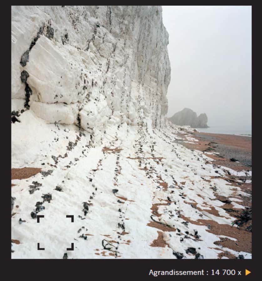 <br />Les falaises de craie comme celle-ci sont constituées d’un empilement de fossiles de micro-organismes (à droite). Il n’est pas rare que les dépôts calcaires renferment des fossiles d’animaux plus gros. © Giles Sparrow, Dunod, DR