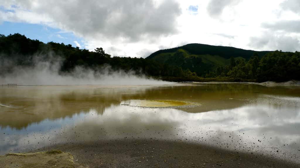 Organismes extrêmophiles et géothermie en Nouvelle-Zélande