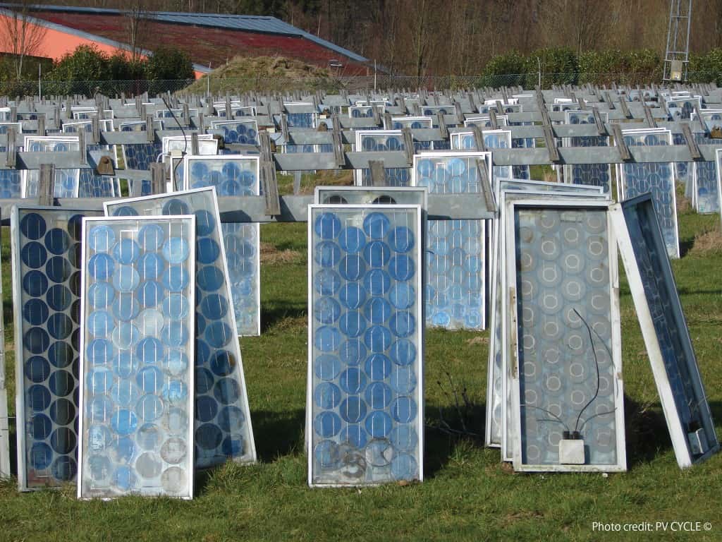 Ces panneaux photovoltaïques sont arrivés en fin de vie. Ils attendent d’être recyclés. Leur silicium pourra être réutilisé quatre fois par la suite. © PV Cycle