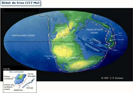 Le monde au début du Trias (237 Ma). © Professeur Bourque, université Ulaval,Canada