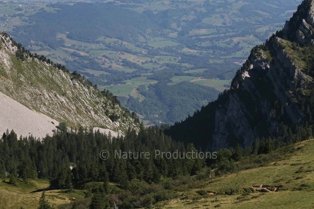 Qui soupçonnerait que derrière ce superbe paysage d’Isère se cache une multitude de pièges ? © Jean-François Noblet, DR